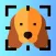 Dog Breed Identifier AI
